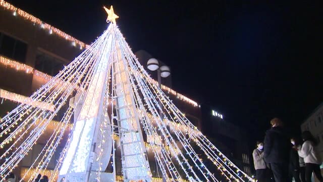 約５万個のＬＥＤでともす“希望の光”　美作大学でクリスマスイルミネーションお目見え【岡山・津山市】