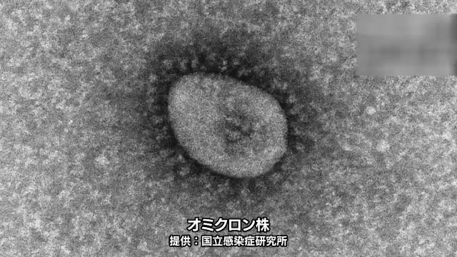 【速報】オミクロン株疑いの搭乗者と同じ機内に…　香川県で新たに２人が濃厚接触者　【香川】