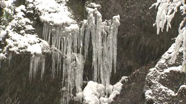 小雪が舞うなか岩肌に下がるツララ…極寒の自然が織りなす冬の芸術　岡山県北の山乗渓谷【岡山・真庭市】