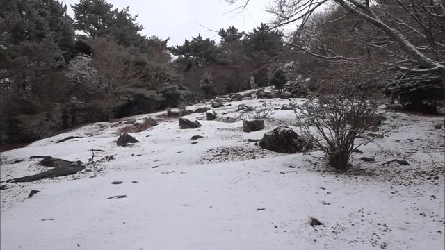 日本三大渓谷美 “小豆島の寒霞渓“も雪化粧　２０２２年初めての積雪　【香川・小豆島町】