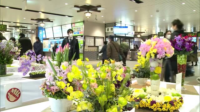 甘く優しい香りが駅の通路に…船穂町特産「スイートピー」をフラワーアレンジメントでＰＲ【岡山・倉敷市】