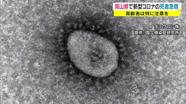 ２月に“急増”　新型コロナの死者　傾向は？注意点は？　重症化しにくいはずが…【岡山】