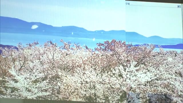 夜にもサクラを…観光名所と共に動画で投映　午後１０時まで楽しめます【岡山・瀬戸内市】