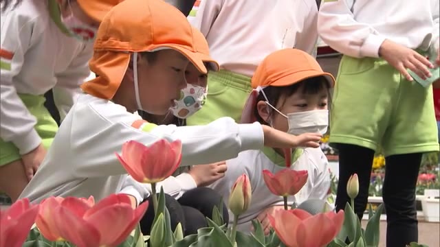 春休みの動物園を彩るチューリップ　幼稚園児が育てる　コロナ禍の苦境を支援【岡山・岡山市】