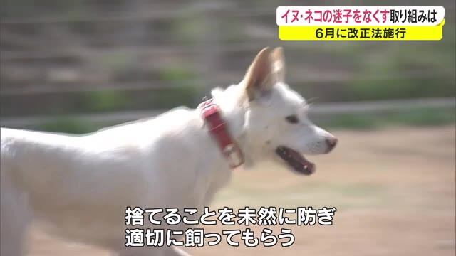 イヌ・ネコのマイクロチップ６月義務化　阪神・淡路大震災が教訓　飼育放棄抑止へ【香川・岡山】