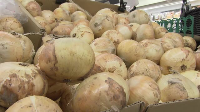 平年値の２倍超に　タマネギ高騰　５０円⇒１０７円に　家計にも影【岡山・香川】