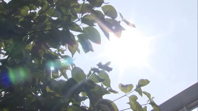 暑い！　各地で今年最高の“真夏日”を観測　２０日以降は梅雨前線が北上し蒸し暑さも【岡山・香川】