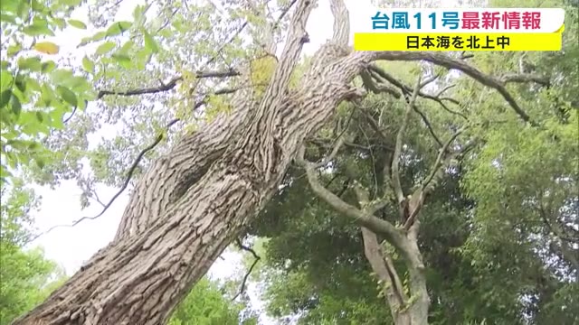 【台風１１号情報】６日午前に岡山・香川に最接近　交通機関への影響続く　倒木の被害も【岡山・香川】