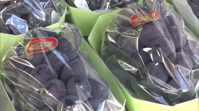 特産のフルーツ・道の駅グルメ・ジンギスカンも…ドイツの森で大収穫祭【岡山・赤磐市】