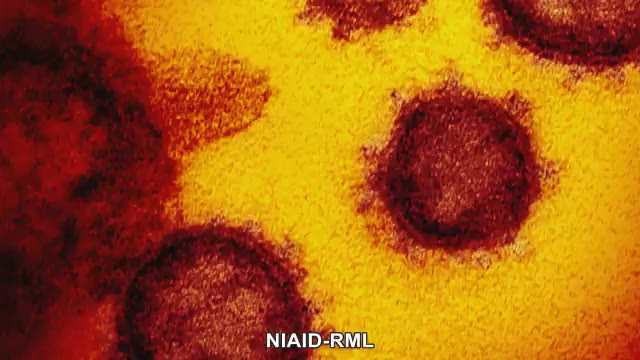【感染詳報】医療機関でクラスター　岡山県で５９９人が感染【岡山】