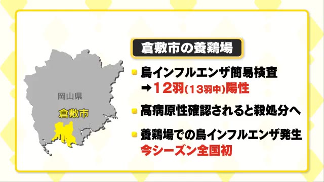 【速報】今シーズン全国初　倉敷市で鳥インフルエンザ疑い【岡山】　