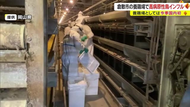 後楽園のタンチョウ園内散策も中止に　鳥インフルエンザ”感染拡大”を防げ　進む対応【岡山・倉敷市】