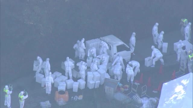 鳥インフルエンザ発生の養鶏場でニワトリの殺処分続く　周辺の養鶏場では卵の出荷が再開【岡山・倉敷市】