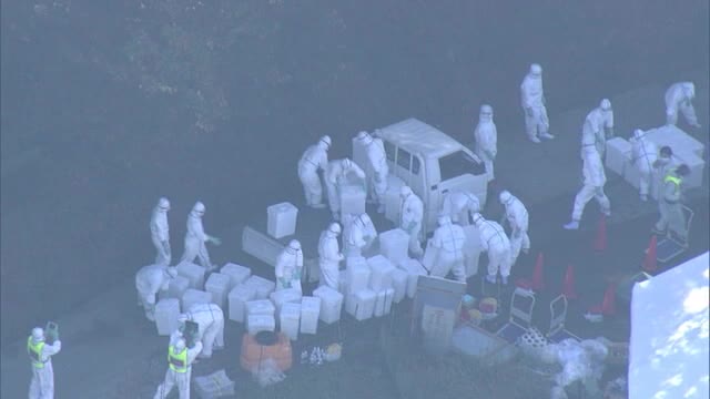 鳥インフルエンザ発生の養鶏場で約１３.６万羽の殺処分が終了　３１日中の完了目指す【岡山・倉敷市】