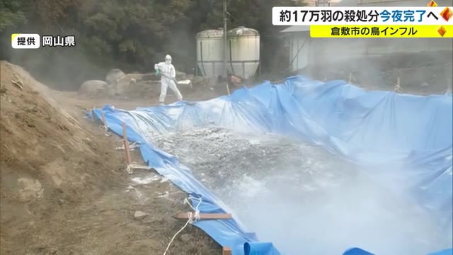 １６万６７０羽のニワトリの殺処分が終了　３１日の夜、完了の見通し　倉敷市の鳥インフルエンザ【岡山】