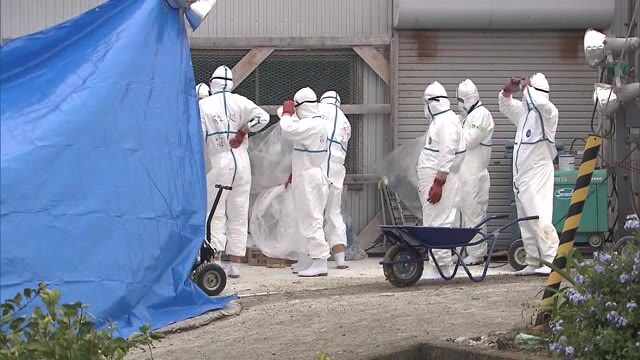 観音寺市でも病原性の高い鳥インフルエンザ確認　約４万羽のニワトリの殺処分始まる【香川】