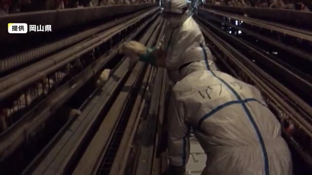 倉敷市の鳥インフルエンザ　約１７万羽のニワトリ殺処分が完了　焼却作業進む【岡山】