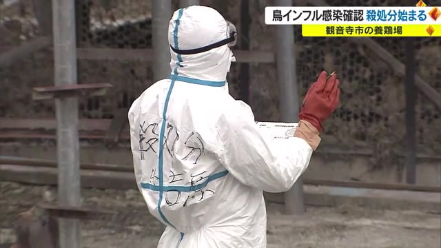 多発地域での「鳥インフル」発生に警戒感高まる　２ヵ月間に１２カ所で…【香川・観音寺市】