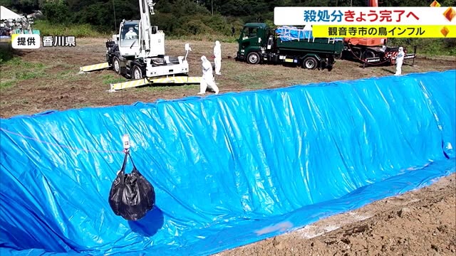 周辺の一部養鶏場でタマゴの出荷再開へ　鳥インフルエンザの殺処分は２日に終わる見通し【香川・観音寺市】