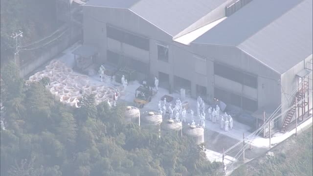 今季２例目　倉敷市で鳥インフルエンザ　約５１万羽の殺処分進む【岡山】
