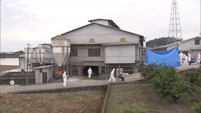 観音寺市の鳥インフルエンザ防疫措置完了　移動制限全面解除は早くても２６日【香川】
