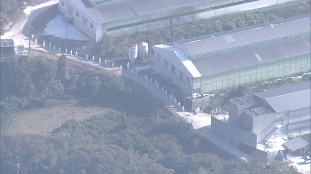 異例の今季３例目　倉敷でまた鳥インフル　約３万４０００羽の殺処分開始　【岡山】