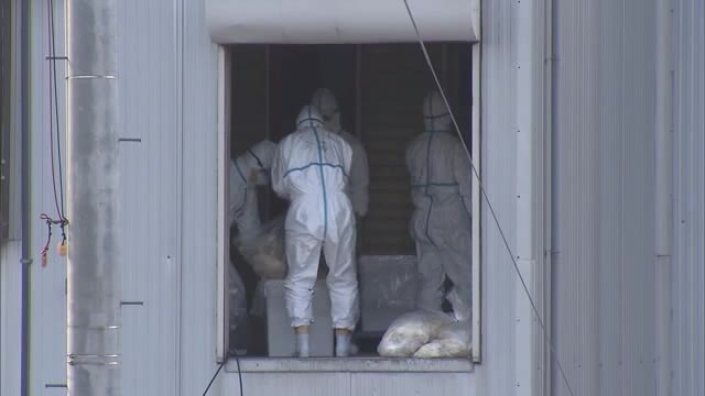 鳥インフル　県内２例目養鶏場の約５１万５千羽の殺処分が全て終了　３例目の養鶏場も作業進む【岡山】