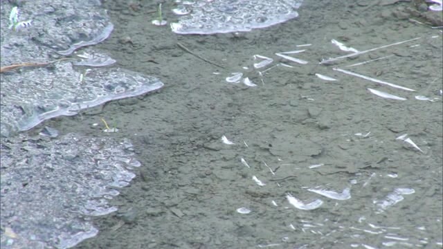 “寒波到来”　今季一番の厳しい冷え込み…岡山市では初の冬日　津山市では初氷張る【岡山・香川】