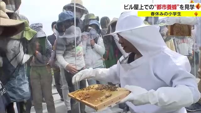 駅前ビルで進む“ハチミツ作りプロジェクト”　その味は…「すごく甘かった！」　子どもたちが体験【岡山】