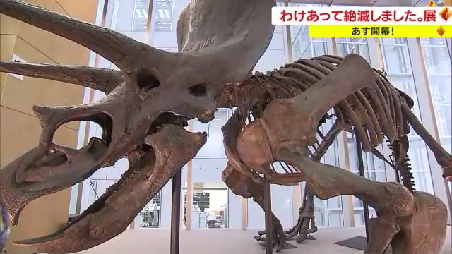 意外な理由で絶滅した生き物を紹介「わけあって絶滅しました。展」オープニングセレモニー【岡山・岡山市】