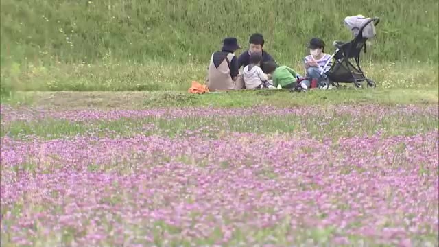 「吉備路れんげまつり」４年ぶりに開催　太鼓の音に屋台グルメ…久しぶりの“お祭り気分”【岡山・総社市】
