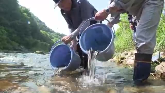 「豊かな自然の中でアユ釣りを楽しんで」　解禁を前に約１・３万匹の稚魚を放流【岡山・鏡野町】