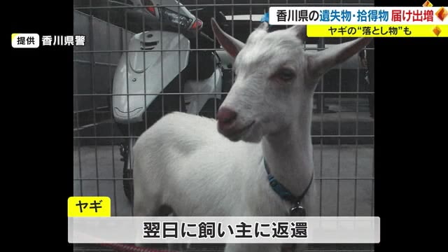 “遺失物”には路上を歩いていたヤギも…県内の２０２２年の遺失物・拾得物　前年より増加【香川】