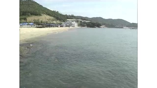 かつては２万人以上の集客も…岡山市が宝伝・犬島の海水浴場「当面の間開設しない」と発表【岡山】　