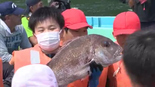 さぬき市の小学生がハマチ養殖について勉強　約８０００匹の魚のエサやり・定置網漁も体験【香川】