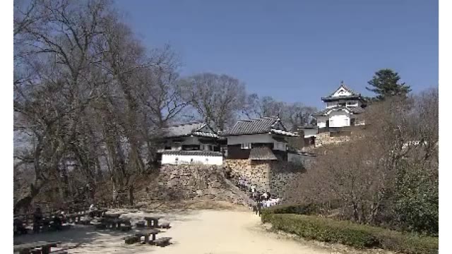 アクセス道の倒木で臨時休館の備中松山城　７月７日から再開【岡山・高梁市】