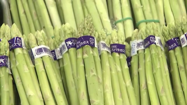 香川の野菜や果物を食べて元気になろう　高松市のスーパーでかがわ「旬のイチオシ！」農産物フェア【香川】