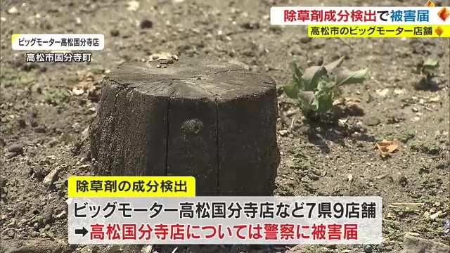 「ビッグモーター」高松国分寺店周辺で除草剤成分　国土交通省が警察に被害届【香川】