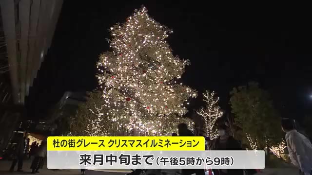 岡山市中心部の再開発エリア「杜の街グレース」にクリスマスツリーお目見え【岡山】