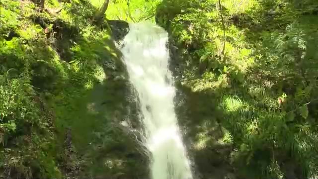 横野滝で滝開き　名物の“そうめん流し”も営業開始…味と景色で感じる夏の始まり【岡山・津山市】