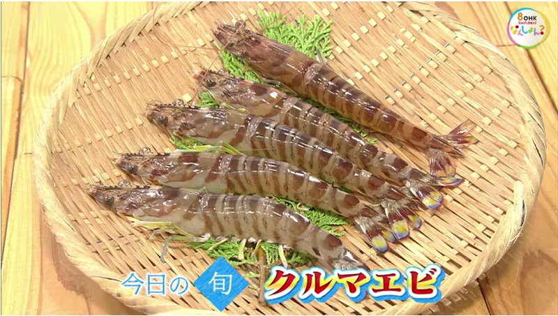 【瀬戸内旬紀行】地元で味わえる高級食材「クルマエビ」を踊り食い！そのお味は？【岡山・香川】