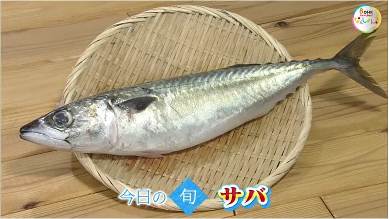 【瀬戸内旬紀行】脂がのった「サバ」をみそ焼きで堪能！ご飯もすすむ！家庭でおすすめの一品【岡山・香川】