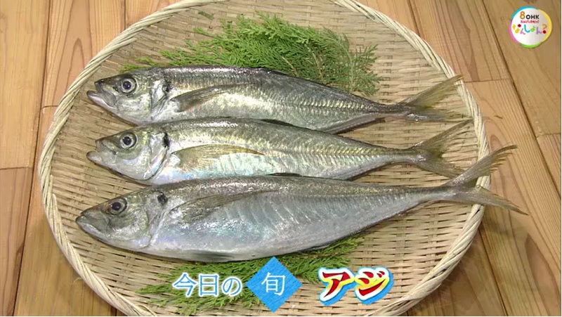 【瀬戸内旬紀行】旬の「アジ」はコリコリ、プリプリで甘い！４０センチの大物を刺身で味わう【岡山・香川】