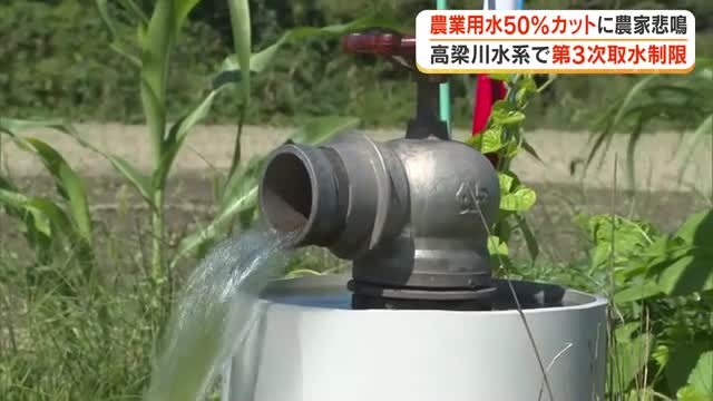 高梁川水系で３２年ぶりの「第３次取水制限」農業用水カット率５０％に引き上げ…農家は対応に苦慮【岡山】