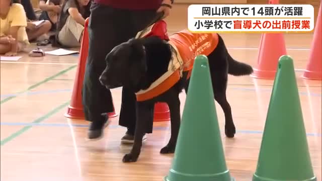 目の不自由な人にとっての生活の不便さや盲導犬の役割を知って…岡山市の小学校で盲導犬出前授業【岡山】