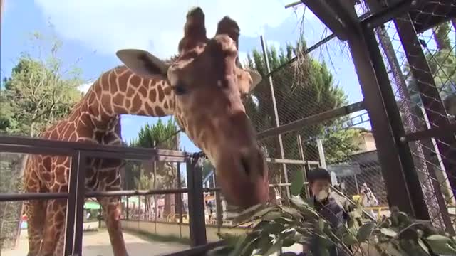 3連休の中日　動物園の人気イベントに家族連れ　笑顔で餌やり体験【岡山】