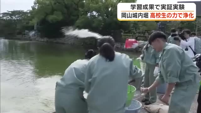 緑色の藻が「化学反応」で城を囲むお堀の水がクリアに…岡山市の高校生が岡山城で実証実験【岡山】