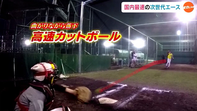 平林１３.png