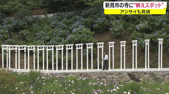 torii4 .png
