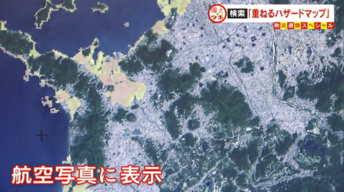 7.png
